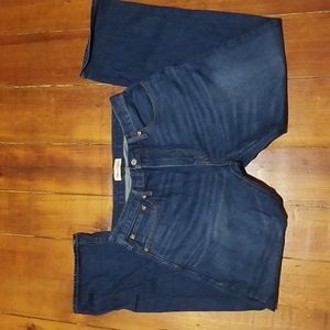 Gap 1969 32x30 Standard Jean